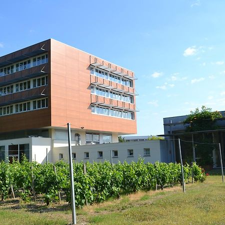 Hotel De Guyenne タランス エクステリア 写真